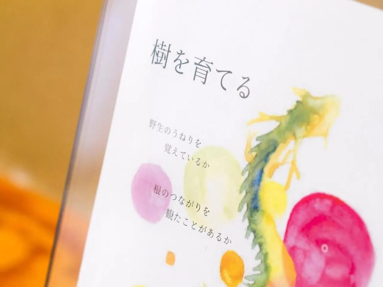 ホテル 湯河原リトリート ご縁の杜 湯河原町 3*,
